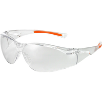 Safety glasses TAMREX Basic